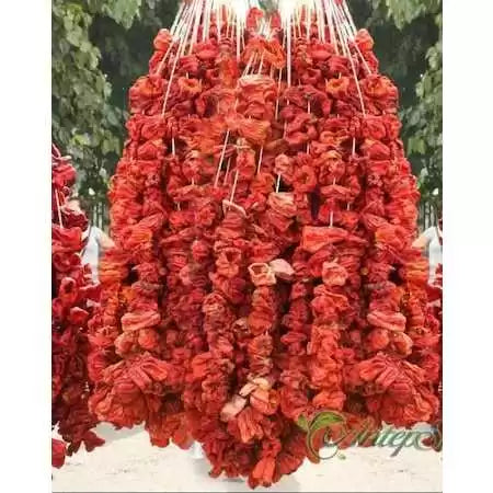 Dolmalık Kuru Biber (Acı)