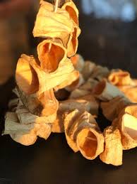 Kurutulmuş Kabak (Dolmalık)